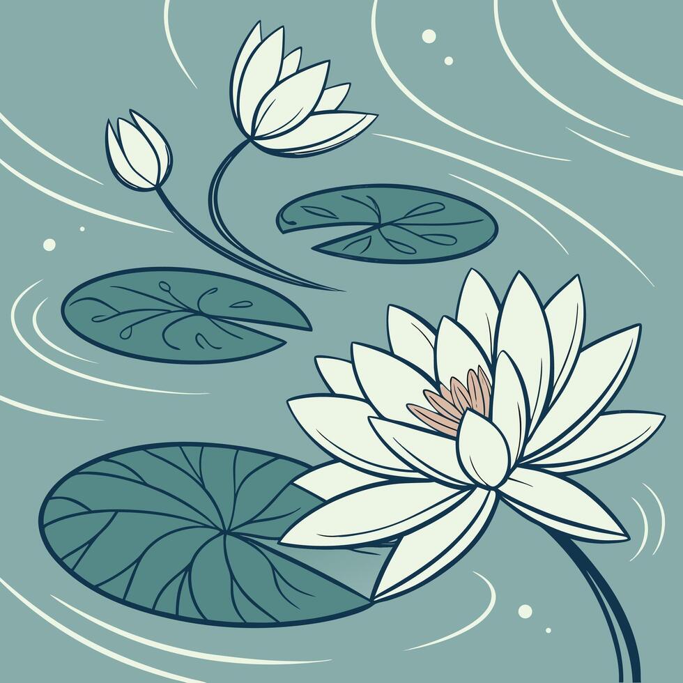 Elegant white water lilies floating on calm water with lily pads vector