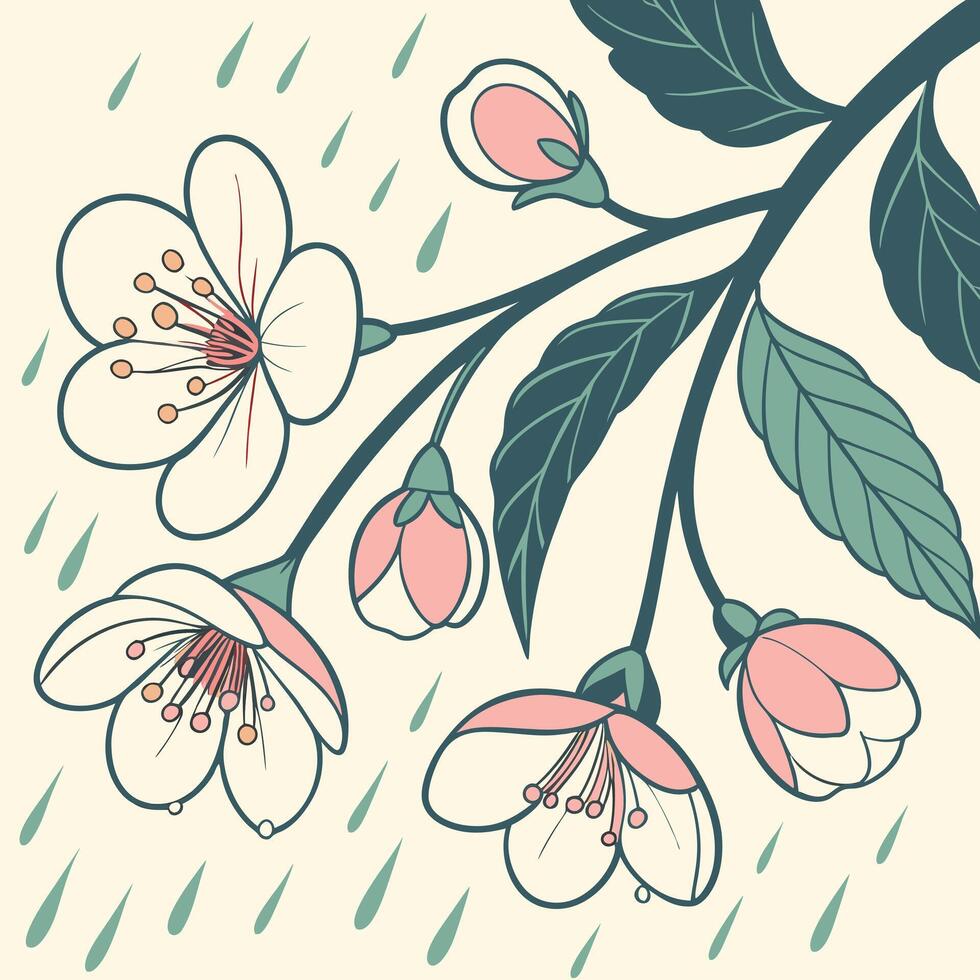 Delicate cherry blossoms bloom amidst gentle spring rain showers vector