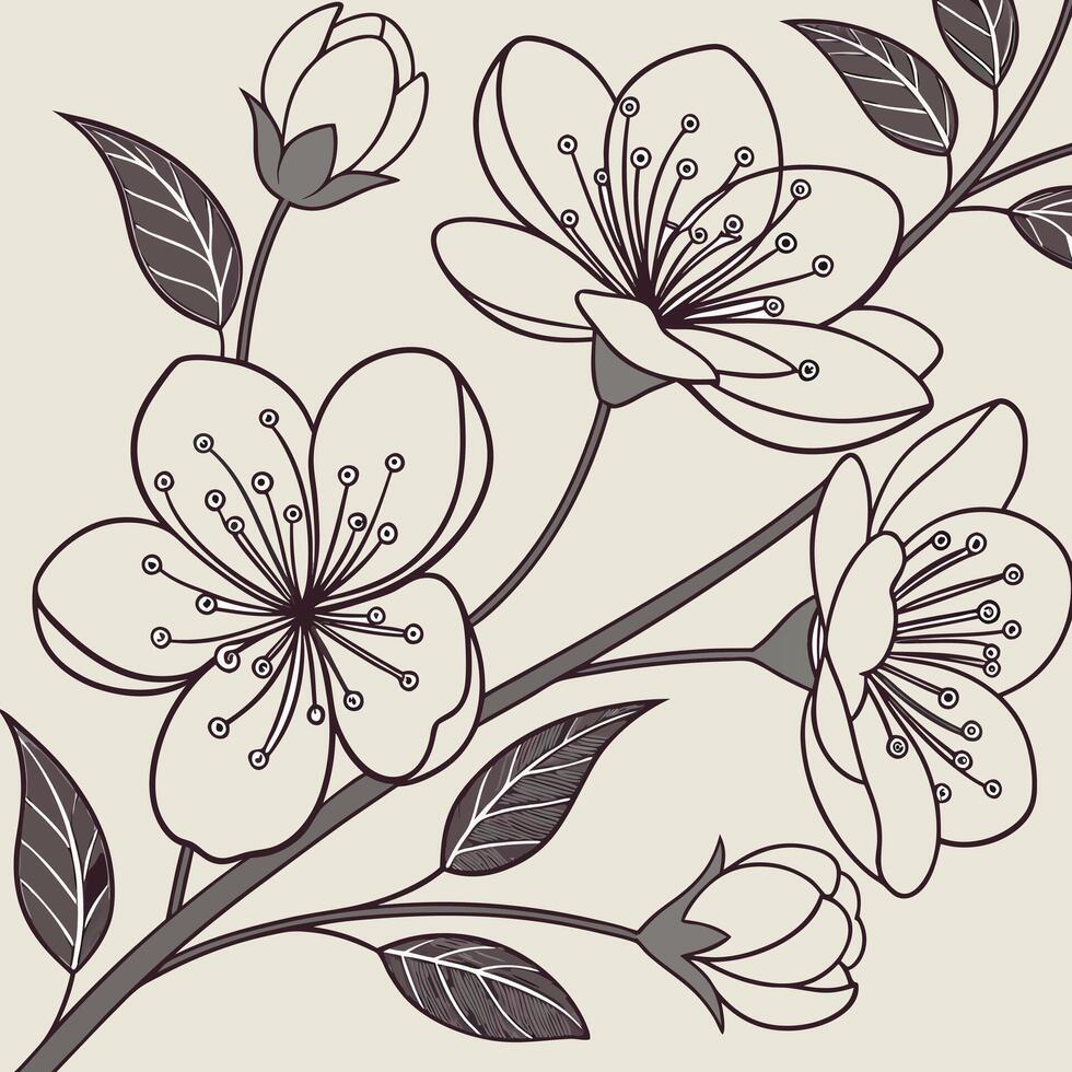 Elegant line art illustration of blooming cherry blossoms on a branch vector