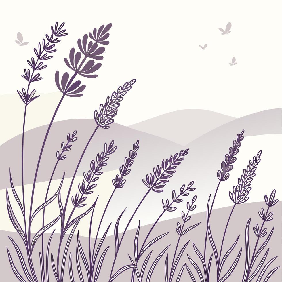 Delicate lavender field with gentle butterflies and rolling hills vector
