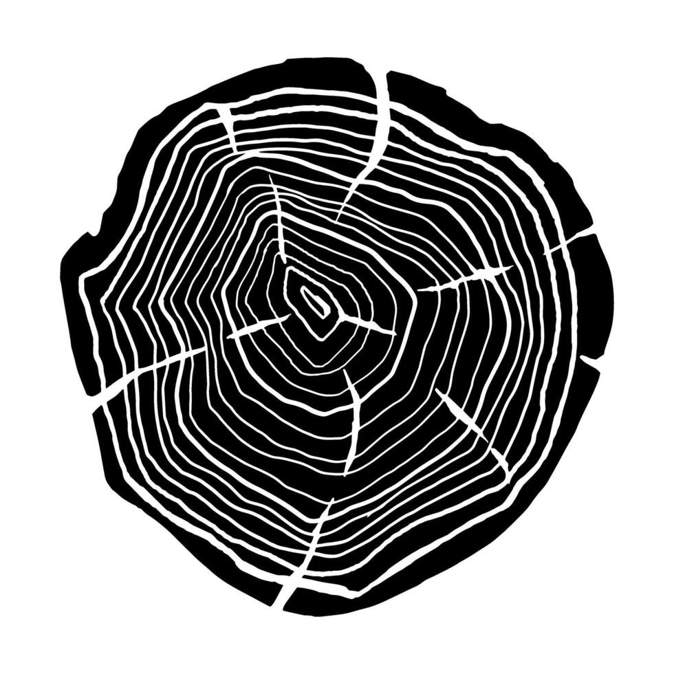 Tree rings. Tree trunk. illustration. Black and white. vector
