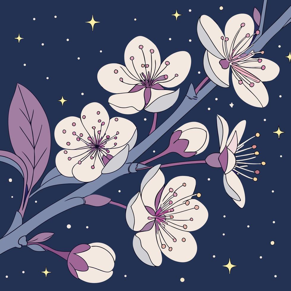 Delicate white cherry blossoms with purple accents bloom on a branch against a dark starry night sky in a charming illustration vector