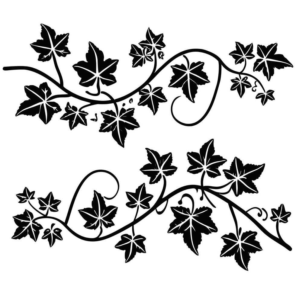 Black and white ivy vine leaf design elements vector