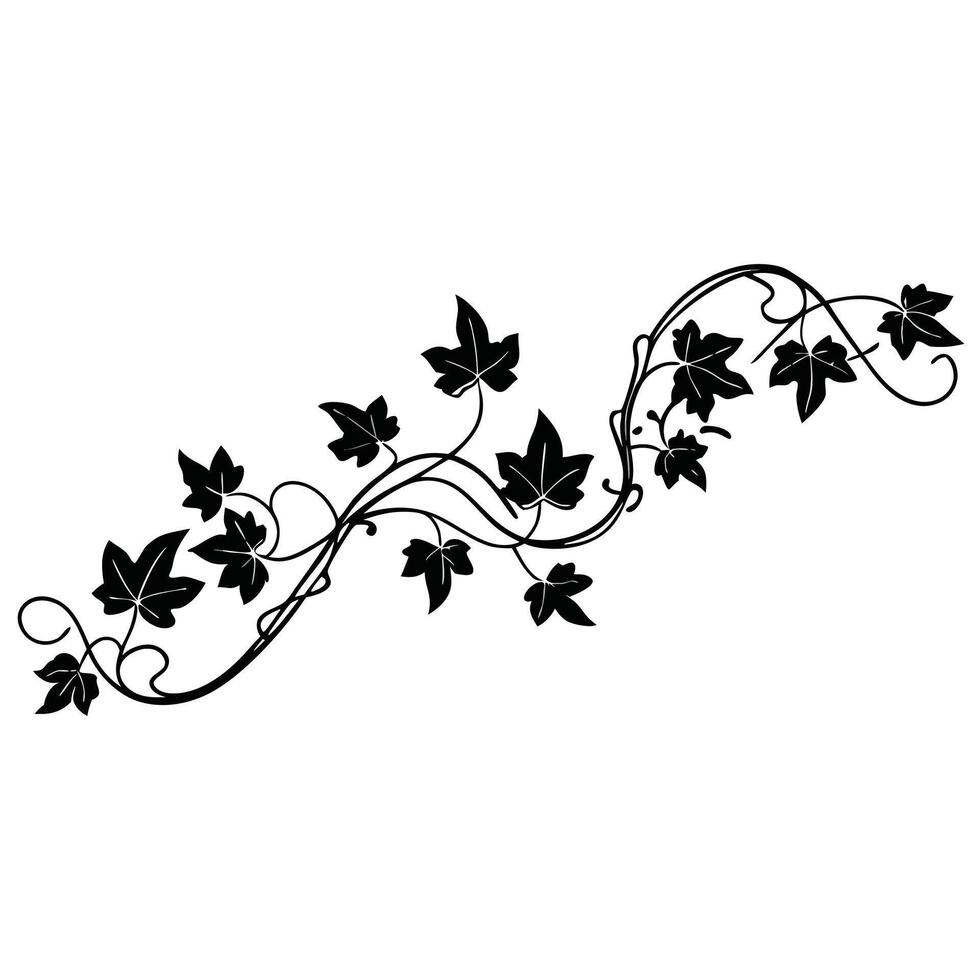 Elegant black and white ivy vine design element vector