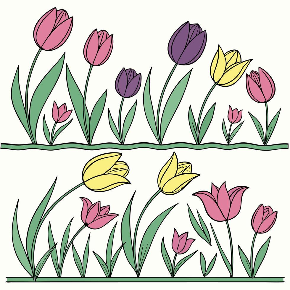Beautiful blooming tulip flowers in pink purple and yellow shades with elegant green leaves arranged in rows perfect for floral themes garden design spring decoration and nature inspired creative vector