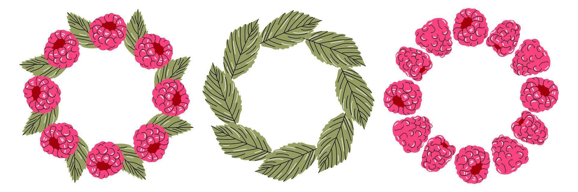 Set of three round wreaths made of raspberries and leaves. Hand drawn summer elements for packaging, branding or seasonal decor. vector