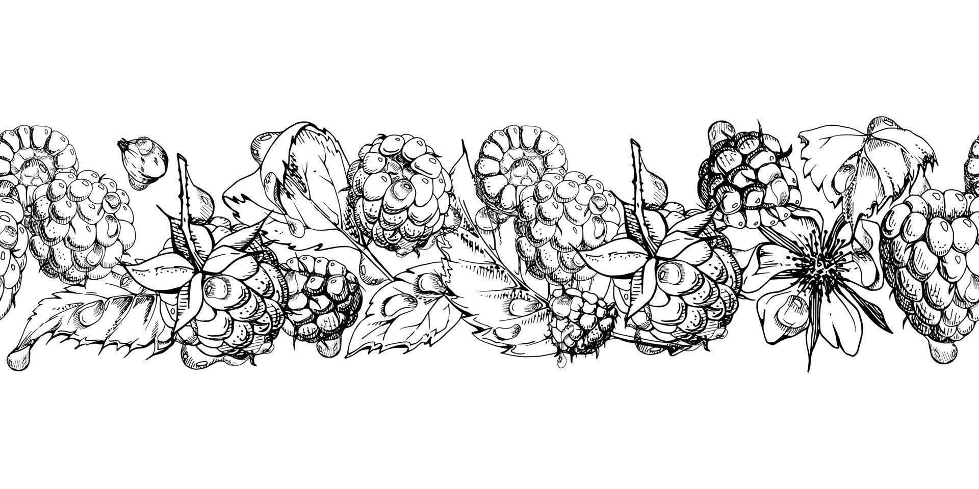 Raspberry ripe garden berries, leaves flowers in water dew drops hand drawn in ink. Seamless isolated banner garland. Home preserves, washi tape, food store decor, recipe book, dessert menu vector