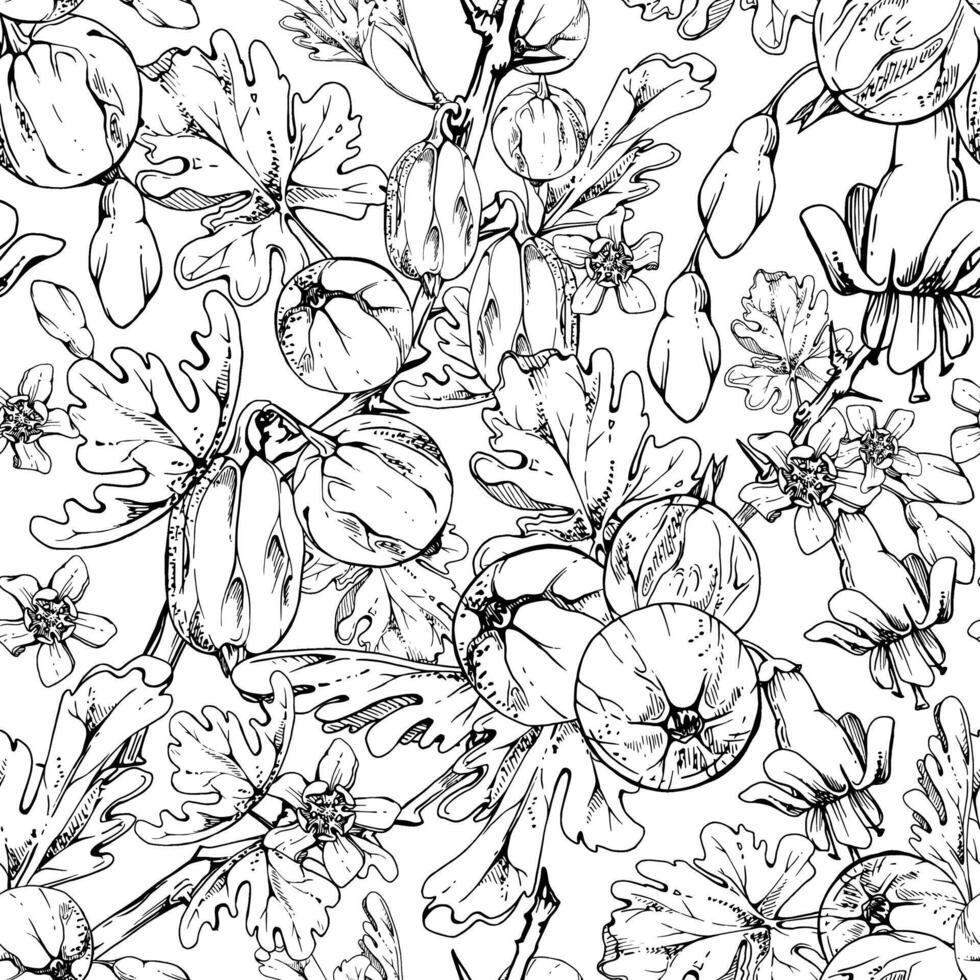 Gooseberry berries flower buds leaves clusters on thorny branch, ripe garden casseille currant. Hand drawn in ink. Seamless pattern isolated. Kitchen linens fabric, packaging, wrapping paper vector