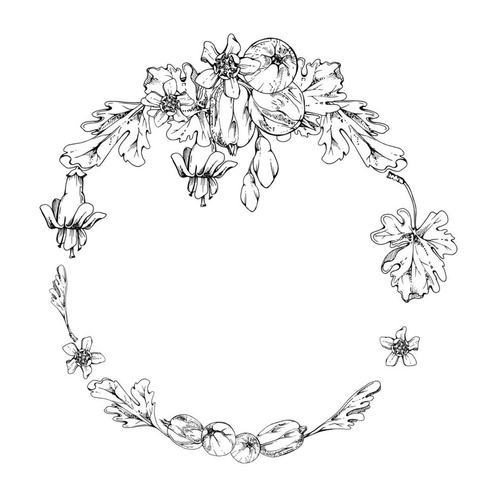 Gooseberry bell flower buds leaves, ripe garden berries wreath hand drawn in ink. Currant casseille huckleberry jostaberry. Isolated circle frame illustration. Wedding stationery, florist shop vector
