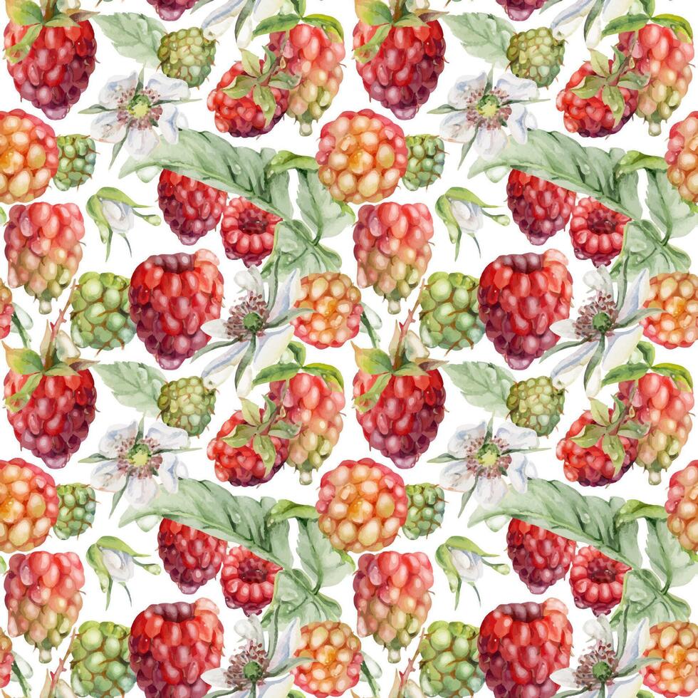 Colorful raspberry pattern design vector
