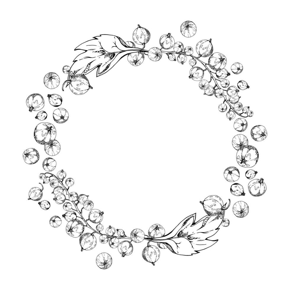 Currant gooseberry with leaves cluster bunch on stem, ripe garden berry casseille juneberry jostaberry, ink hand drawn. Isolated wreath frame crown. Cookbook, grocery store, gardening guides vector