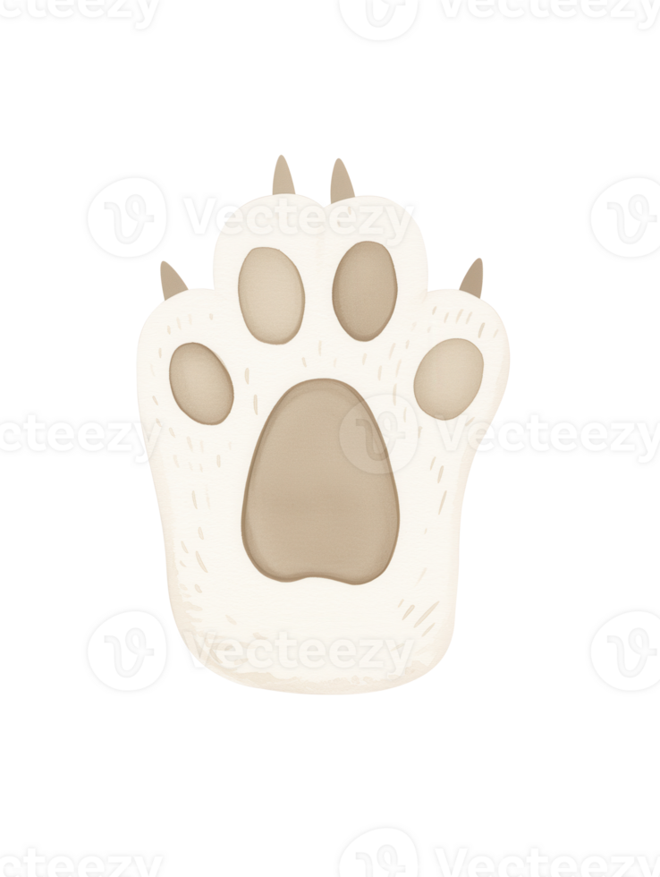 Cute paw print illustration showing detailed design with soft colors and distinct shapes for artistic use png