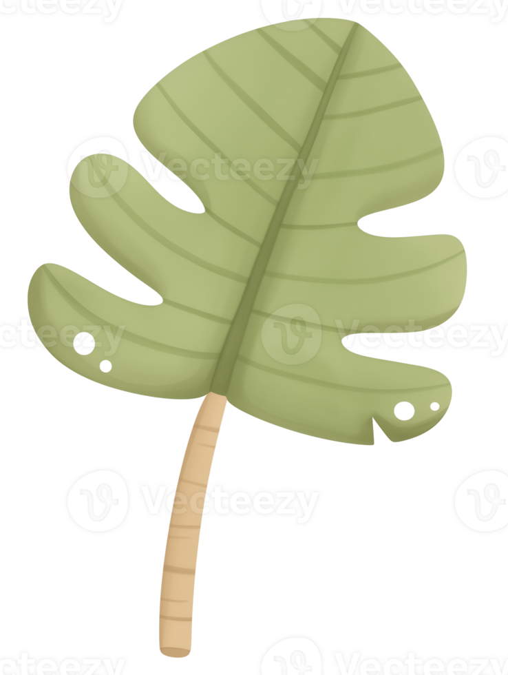 Green monstera leaf illustration with distinctive shape and texture featuring a light green color palette and stylized details png