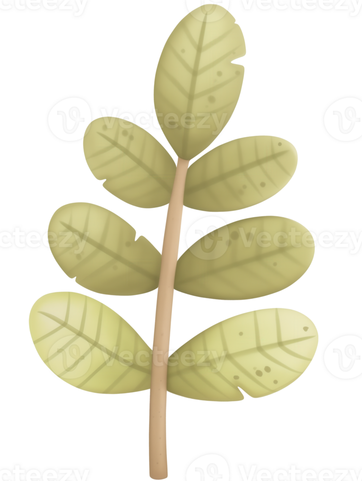 Green leaf branch with detailed textures, showcasing a natural design and vibrant color suitable for various creative projects and illustrations png