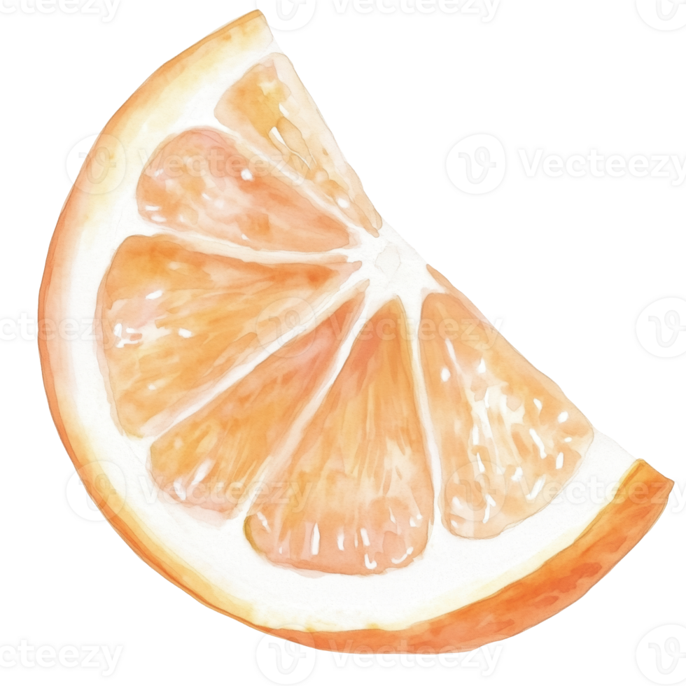 Freshly cut orange slice exhibiting vibrant colors and juicy texture in a bright setting perfect for culinary use and healthy eating png