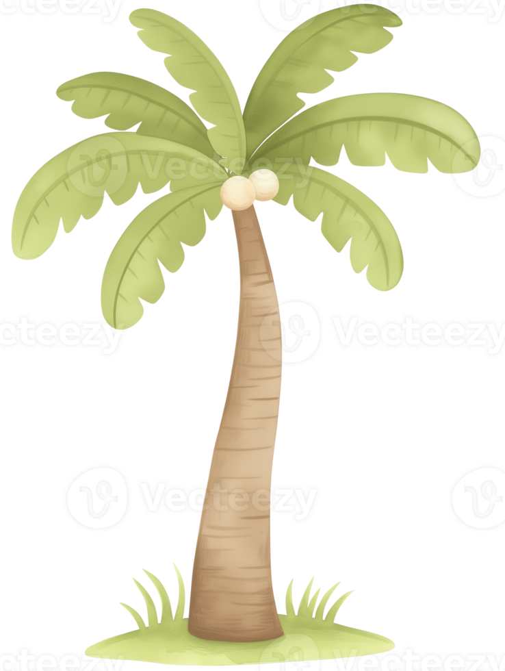 Beautiful palm tree with lush green leaves and smooth trunk in a serene tropical environment png