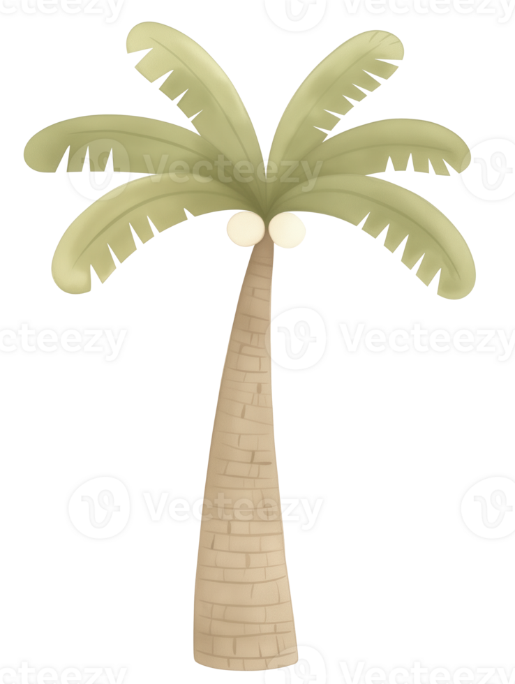 Palm tree with green fronds standing tall in a sunny environment perfect for relaxation and leisure activities png