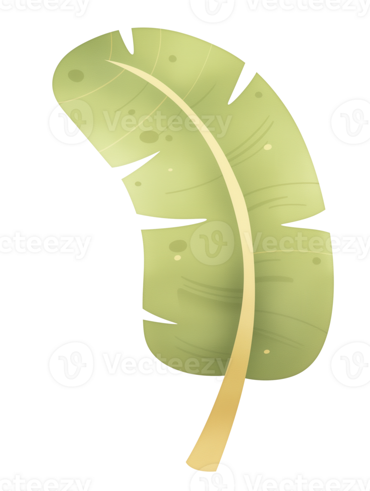 Bright green tropical leaf design with bold outline and soft texture in an artistic illustration png