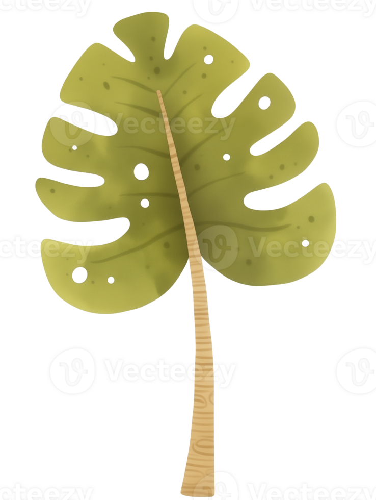 Monstera leaf illustration designed in a simple and modern style showcasing its unique shape and texture png