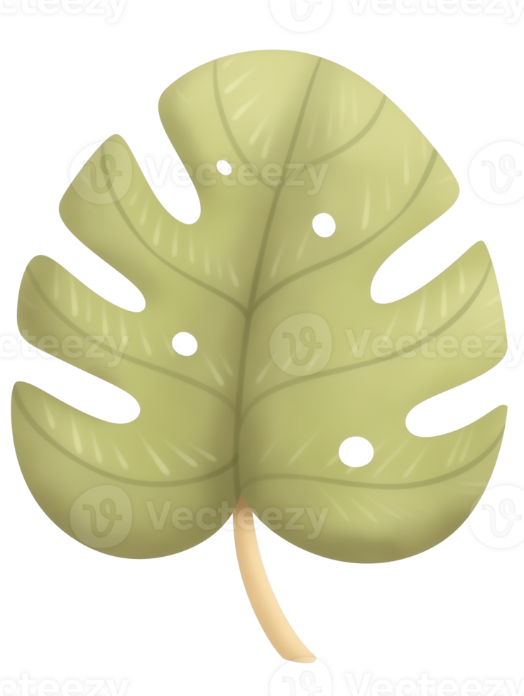 Green tropical leaf with unique cutouts showcasing a natural design and texture png