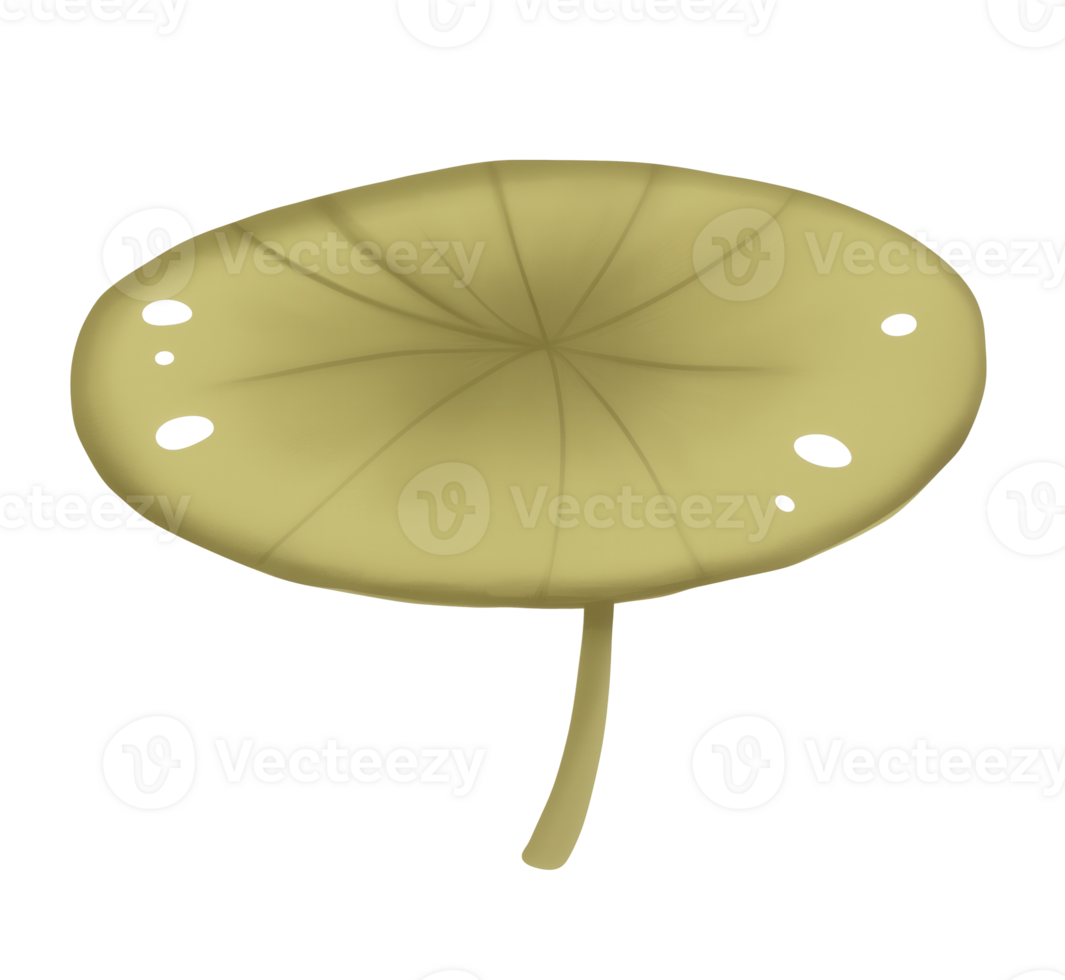 Delicate lotus leaf floating on water reflects serene aquatic beauty at dusk png