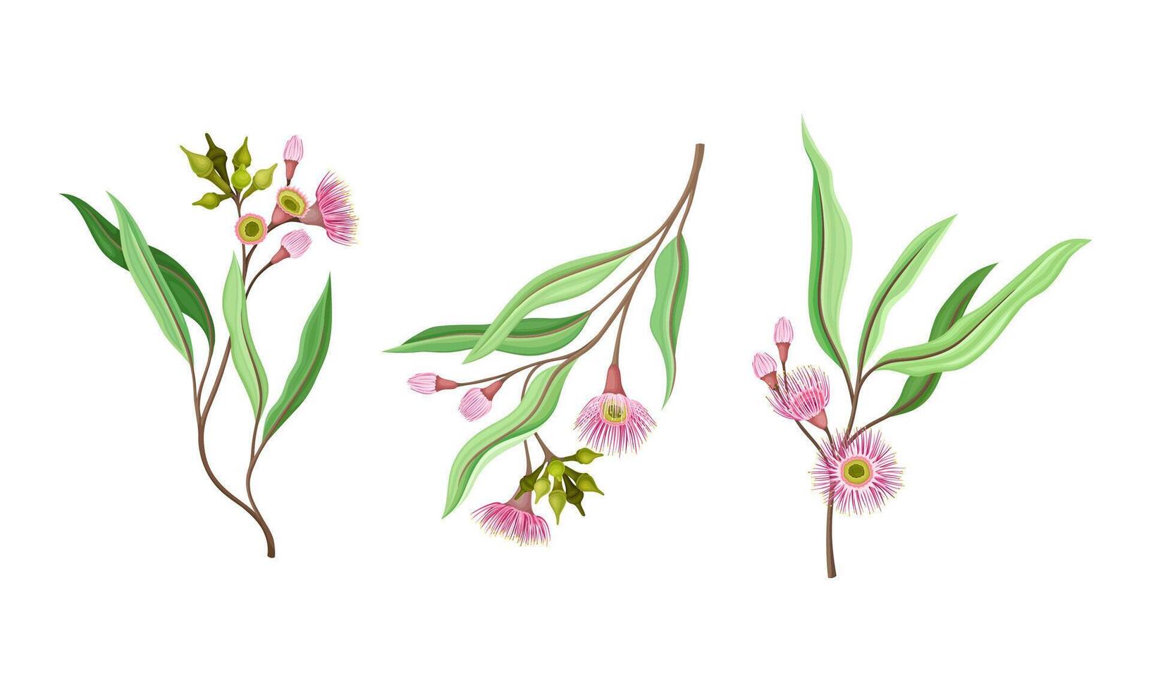 Floral branches with pink flowers and leaves vector