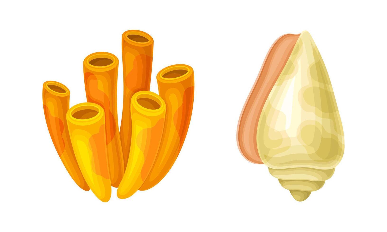 Seashell as Hard Marine Snail Shell and Coral Set vector