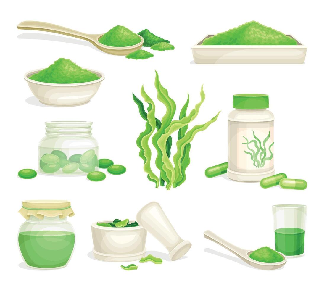Spirulina dietary supplements set. Pills, capsules and powder of algae. Healthy eco product, antioxidant superfood illustration vector