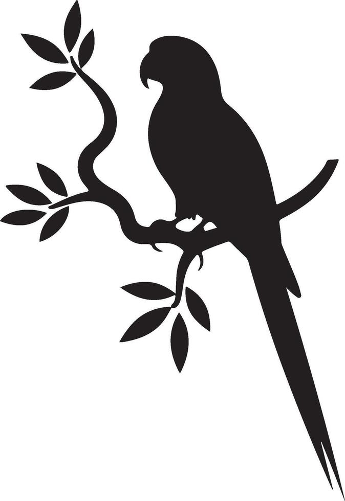 Elegant parrot silhouette with long tail feathers on white background vector