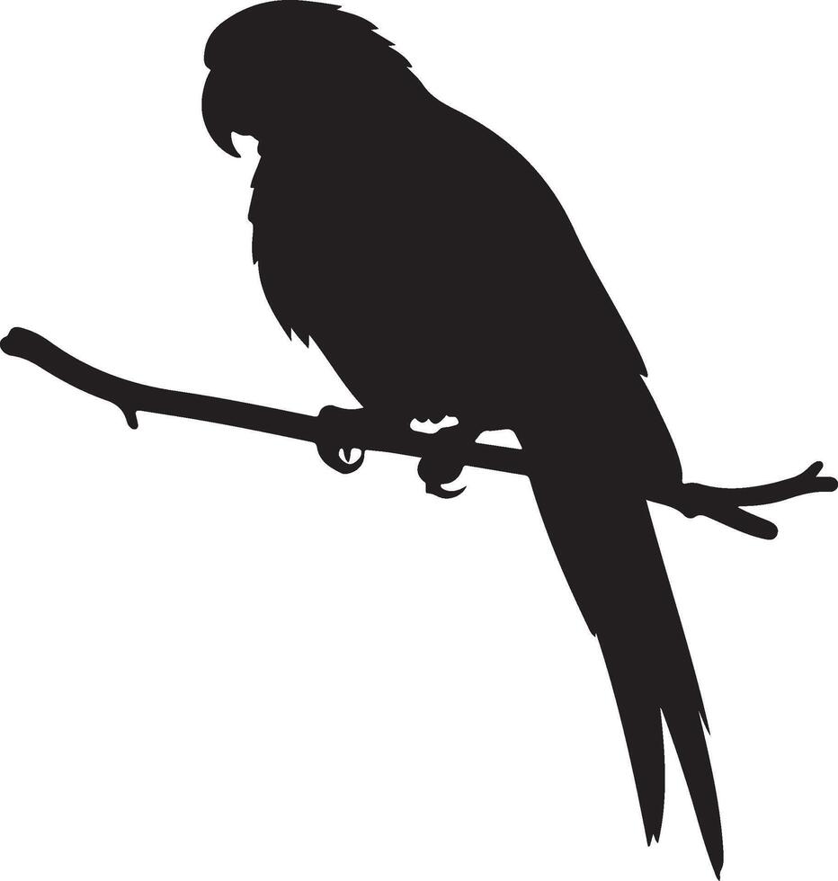 Tropical parrot bird silhouette for wildlife-themed artwork vector