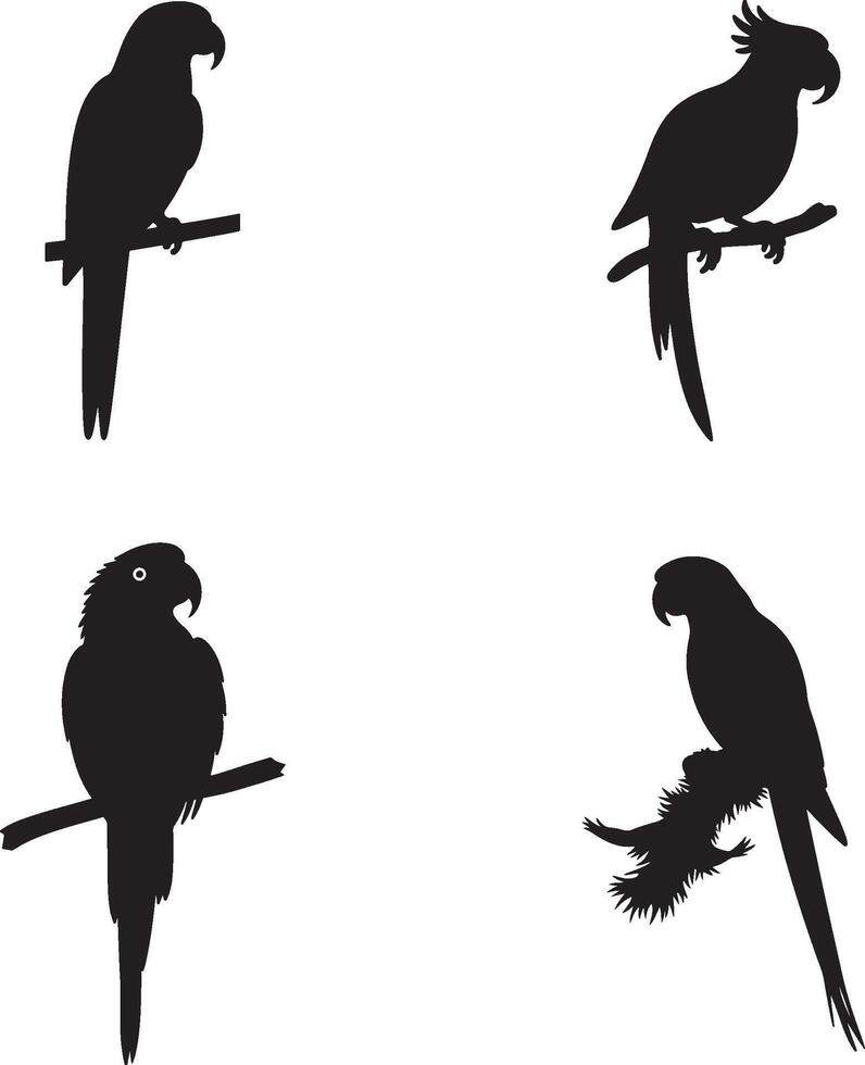 Set Of Parrot silhouette perched on branch in bold black illustration vector