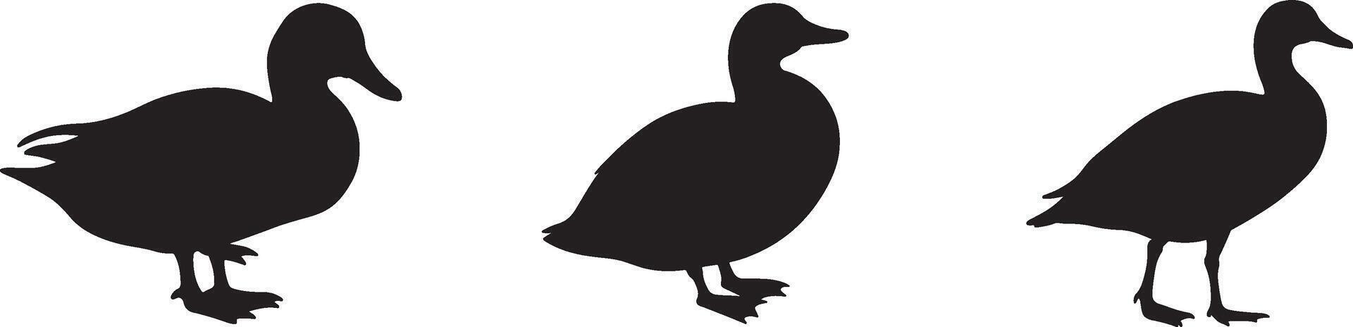 Clean and detailed duck silhouette set on white background vector