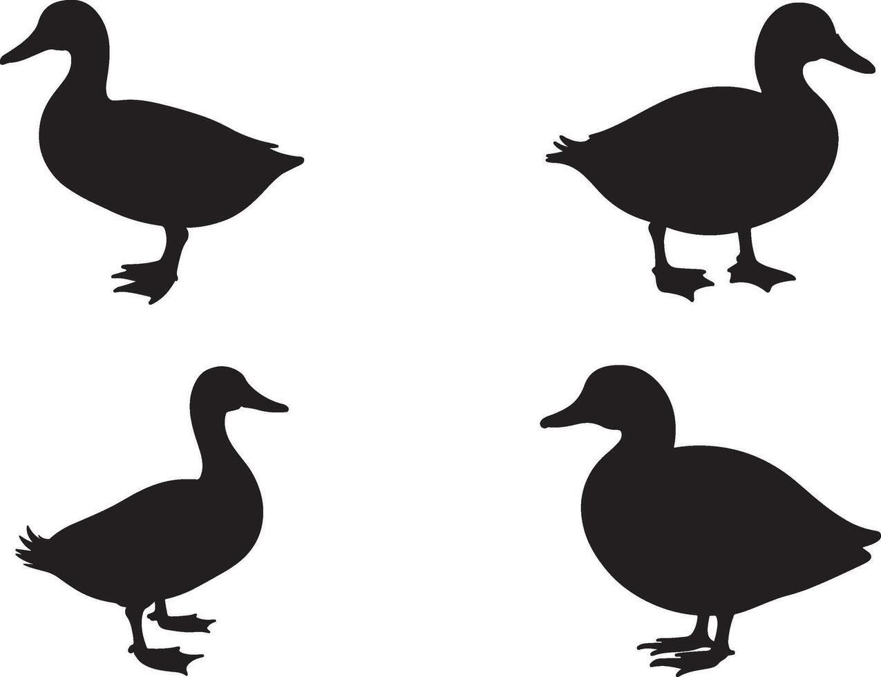 Walking duck set black for nature print projects vector