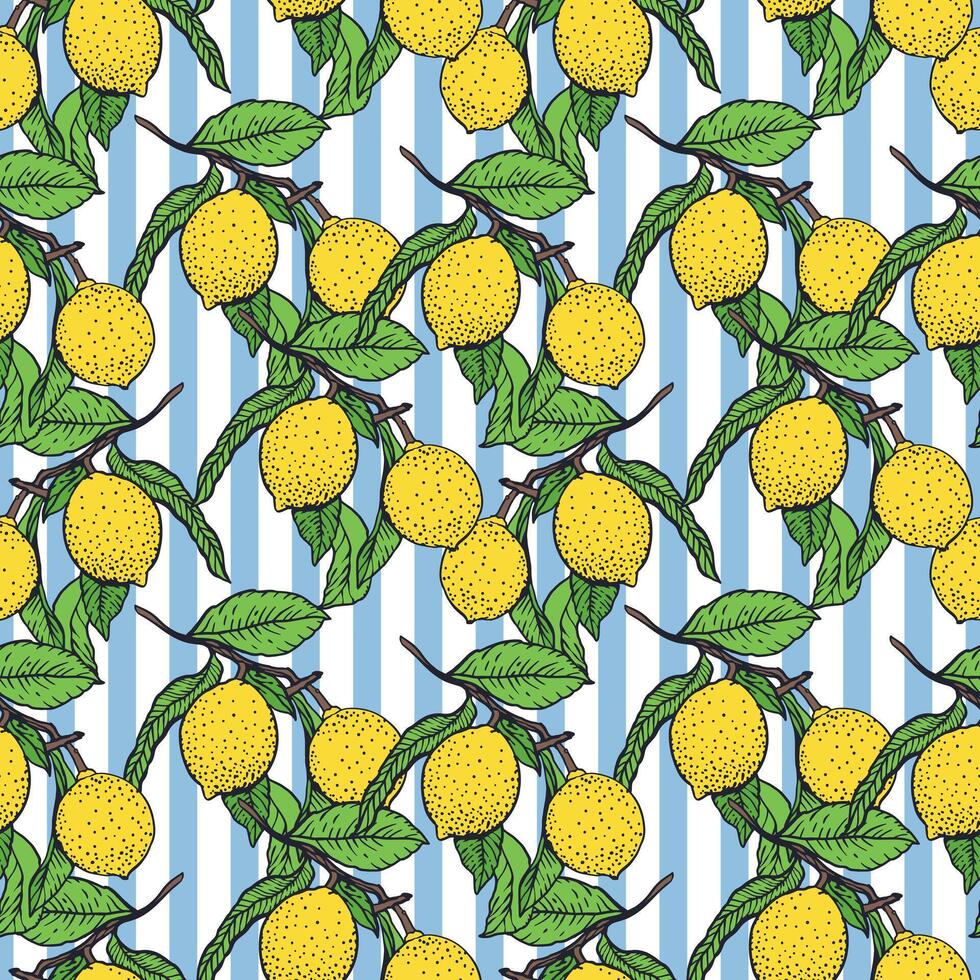 Colorful lemon pattern with leaves vector