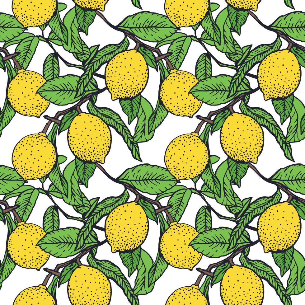 Lemon pattern with green leaves vector