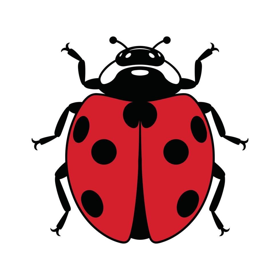 Ladybug Design isolated on white back ground vector