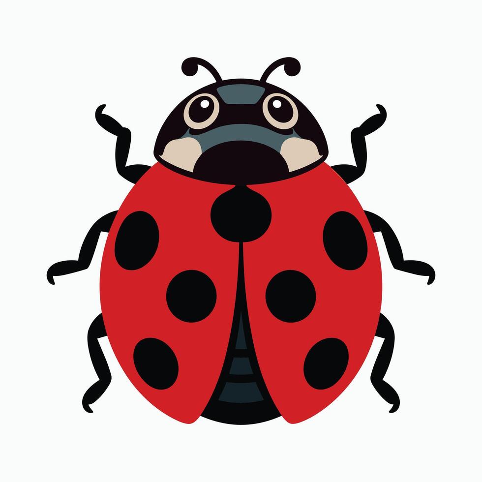 Ladybug illustration Isolated on white background. vector