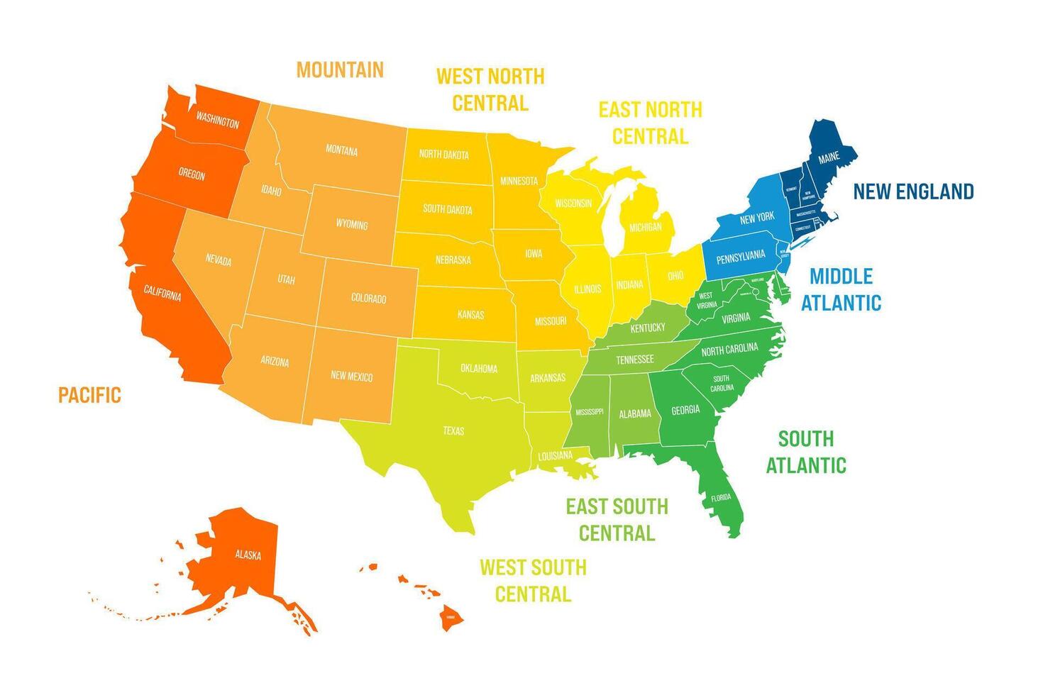 Regions and Divisions of United States - statistical units defined by US Census Bureau. Colorful map. vector
