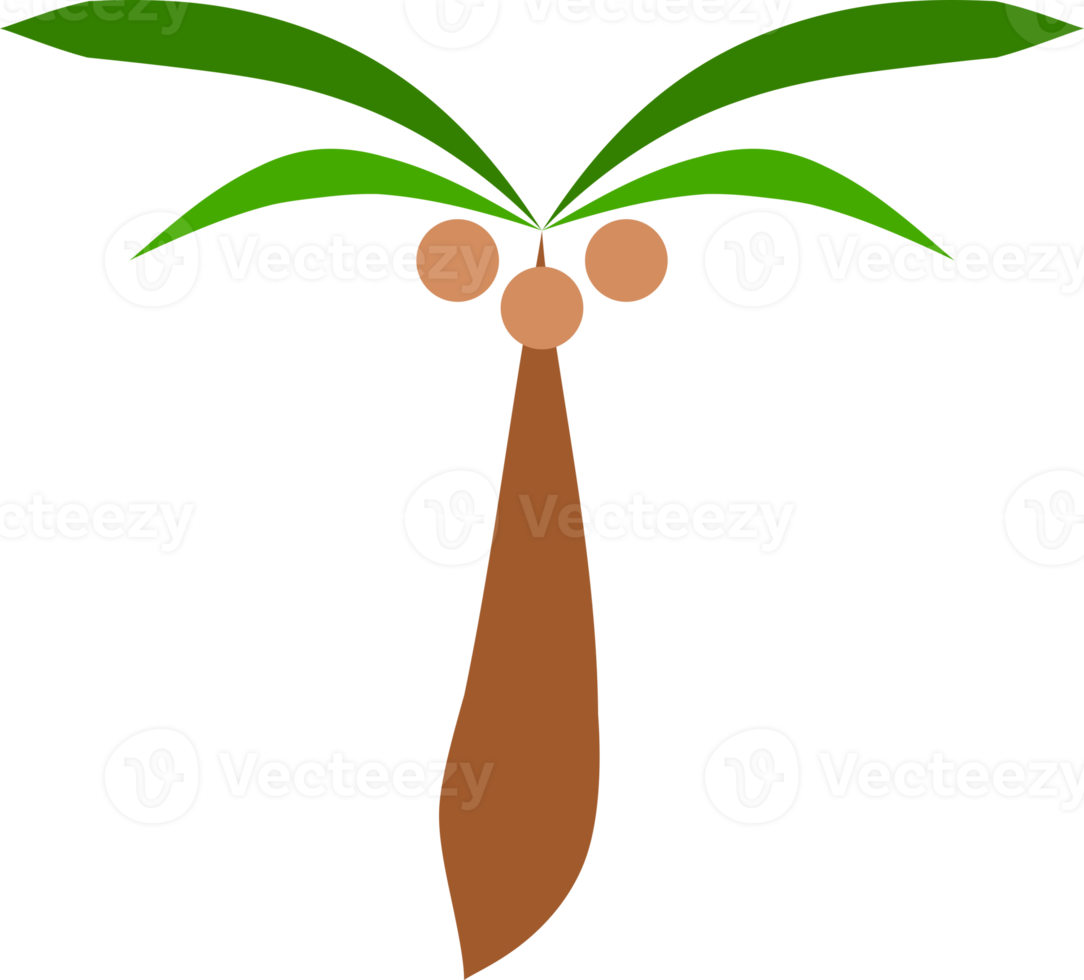 Doodle coconut tree icon png