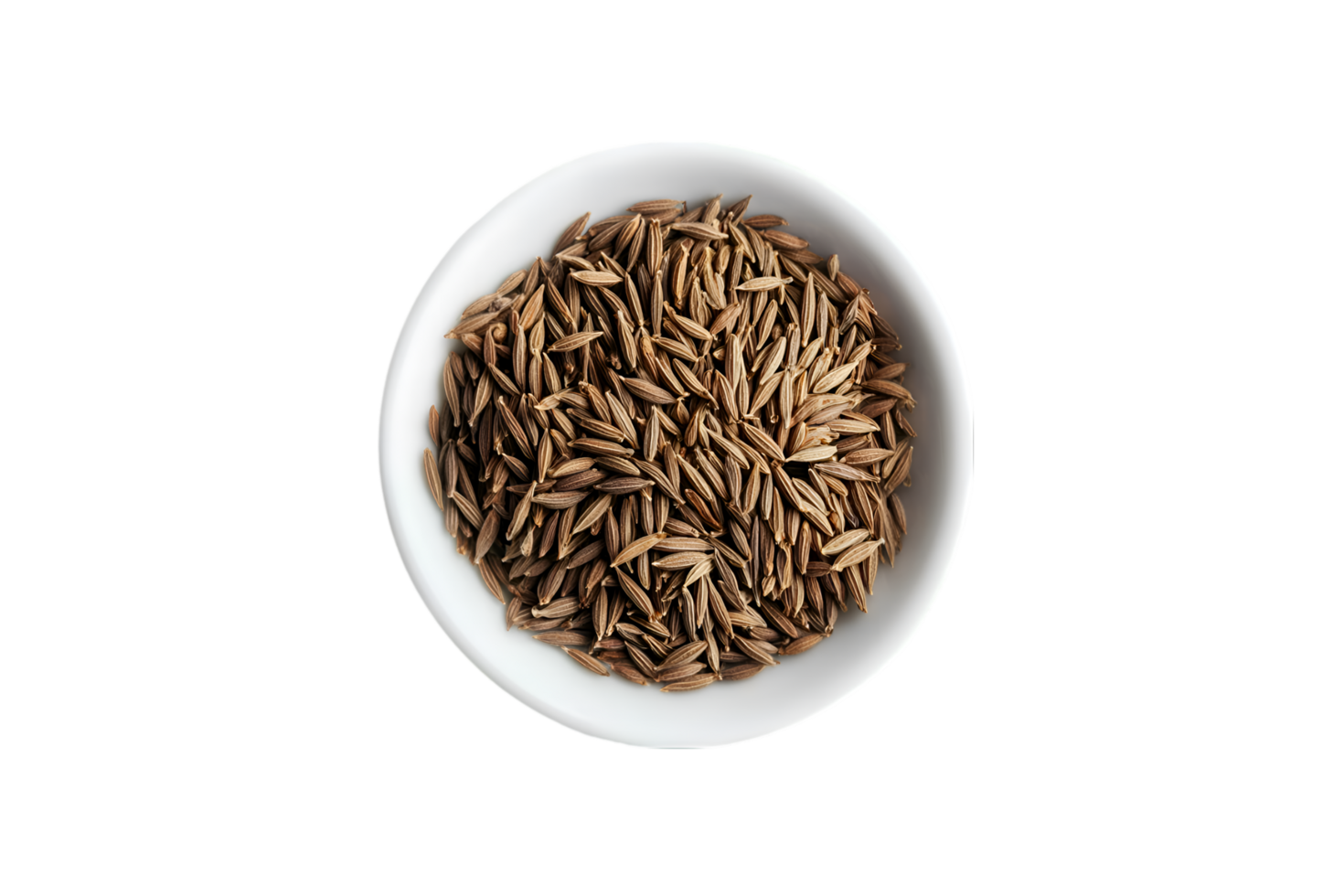 Cumin seeds in a white bowl spice food ingredient cooking recipe herb png