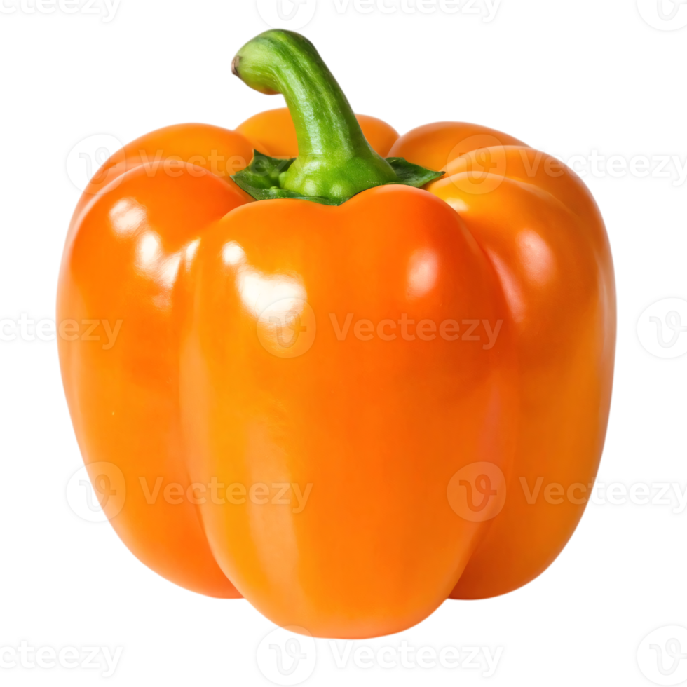 fresh organic capsicum. png