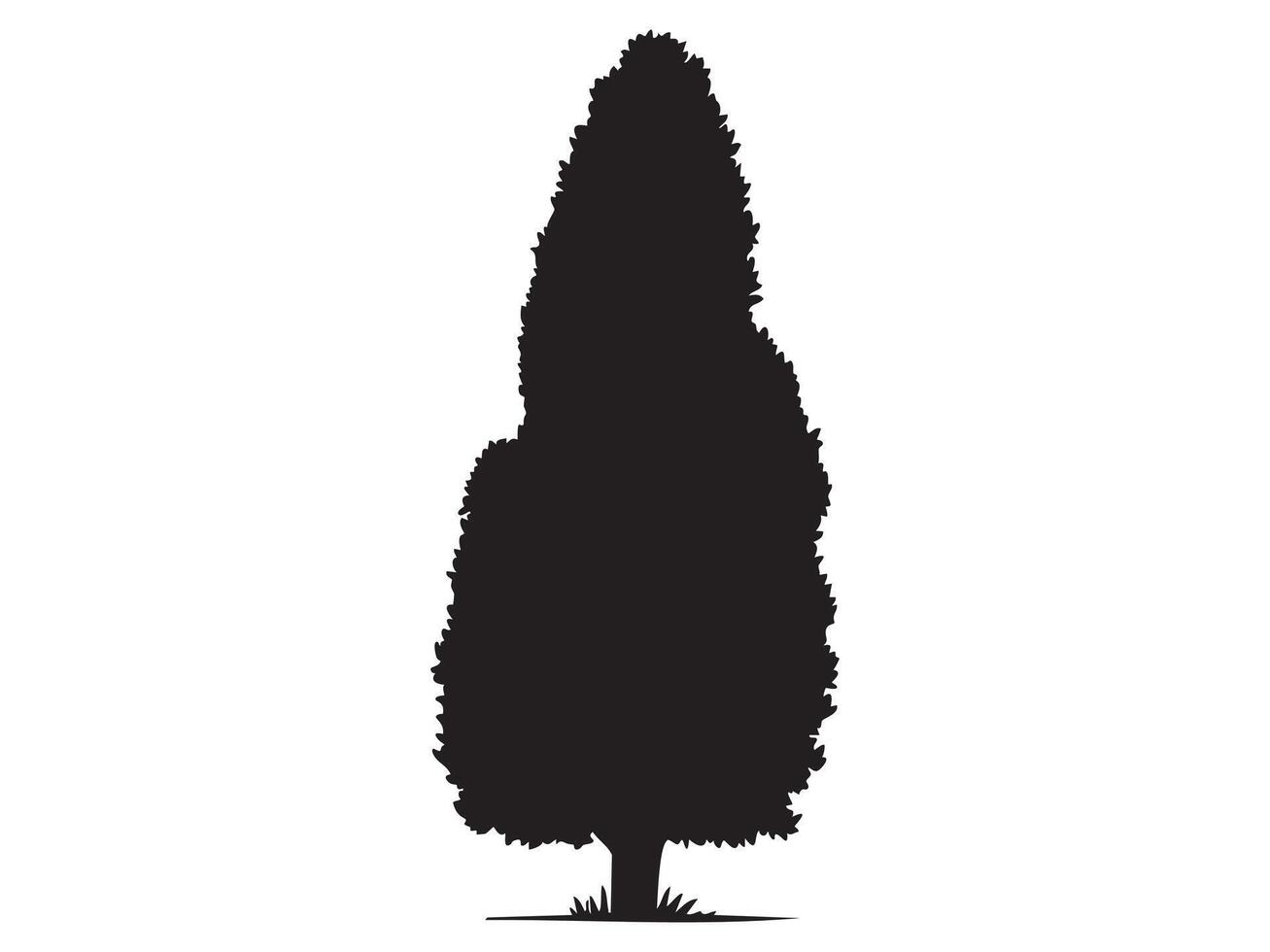 Silhouette of cypress tree with dense foliage isolated on white background, graphic illustration. Concept of conifer, nature element, landscape design, evergreen plant, black tree icon vector