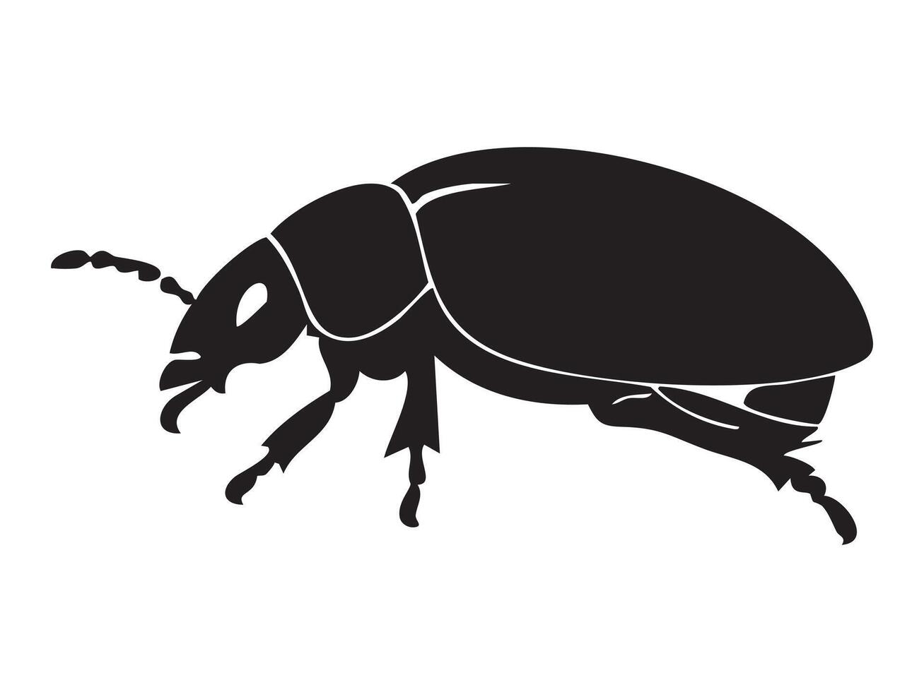 Black silhouette of beetle isolated on white background, graphic illustration. concept of insect, bug, wildlife, nature, icon, logo, design element, pest control vector