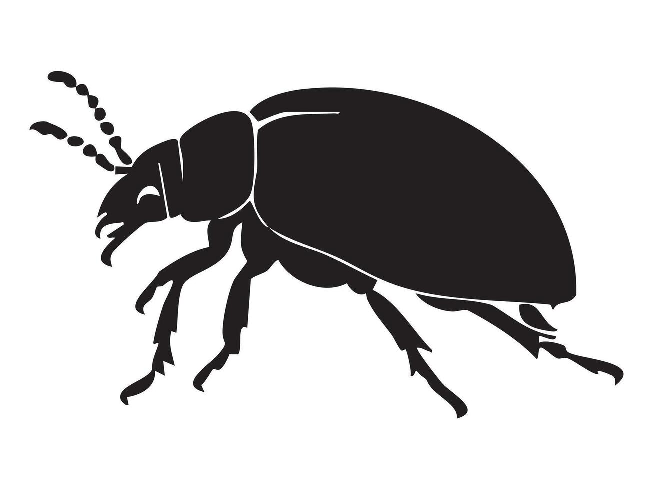 Black silhouette of beetle in side view isolated on white background, graphic illustration. concept of insect, bug icon, wildlife, entomology, nature study, design element vector