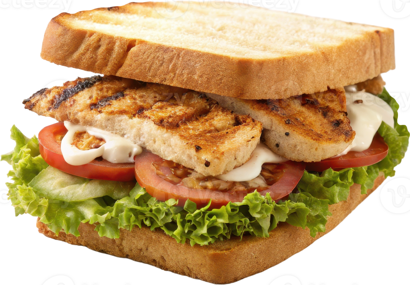 Juicy grilled chicken breast with crisp lettuce fresh tomato slices and creamy mayonnaise served on toasted sandwich bread png
