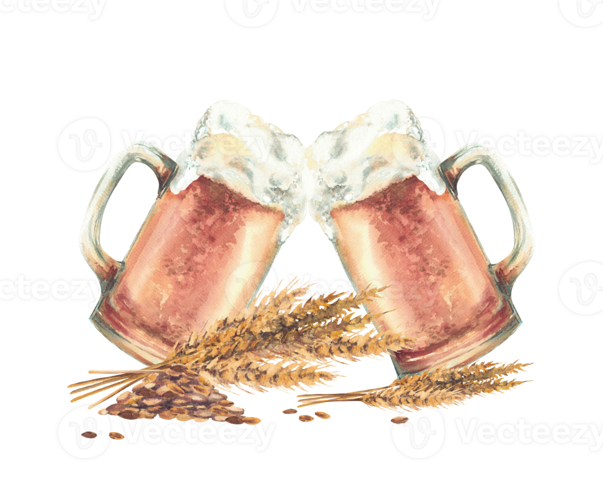 Beer mugs making cheers with ears and grains of malt. Hand painted watercolor two glasses of light beer toasting Natural foamy beverage with brewing ingredients for drink menu, brewery label. Isolated png