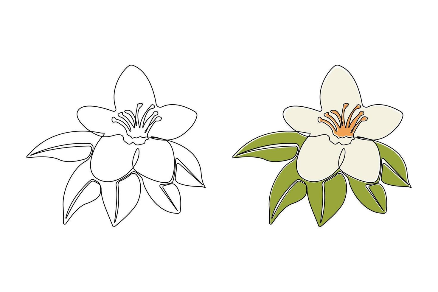 Hand-drawn vanilla pod flower continuous outline . Vanilla flower plant line art drawing vector