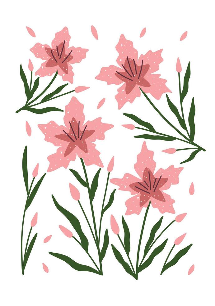 Hand drawn blooming lilies with scattered petals and green stems. vector