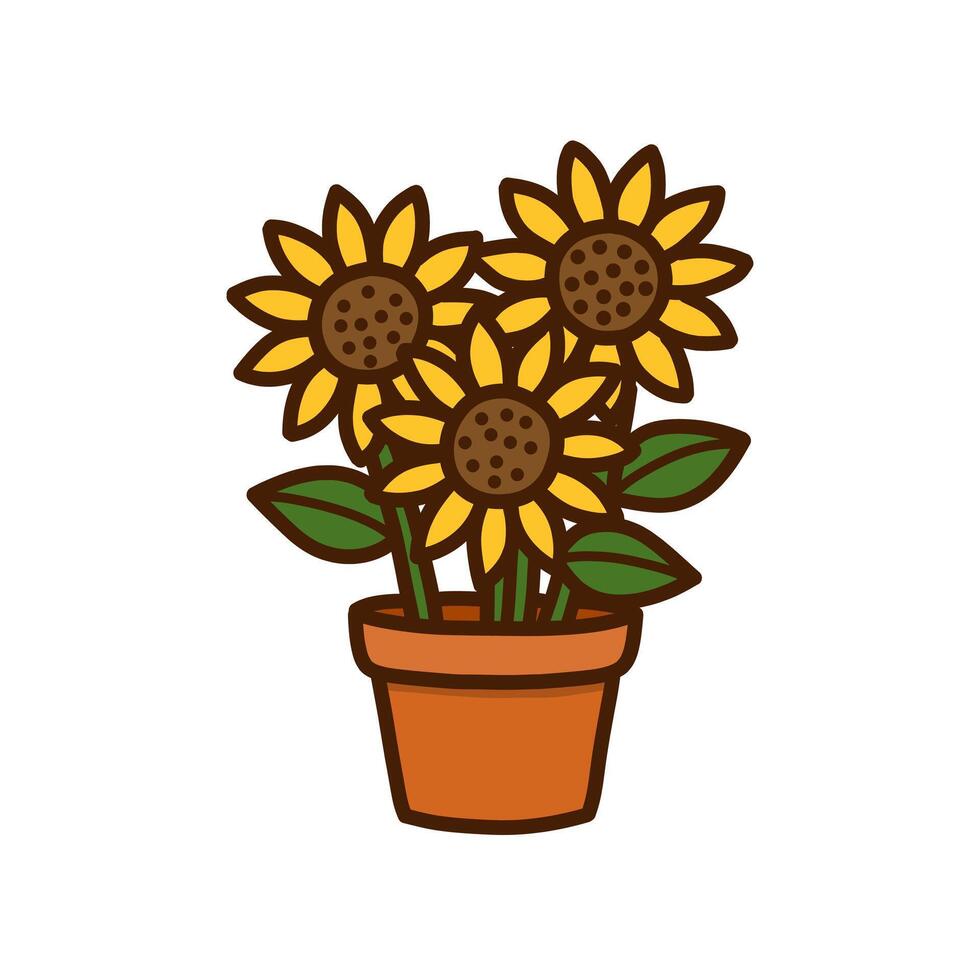 Three sunflowers in a terracotta pot, outlined in brown, on a white background vector