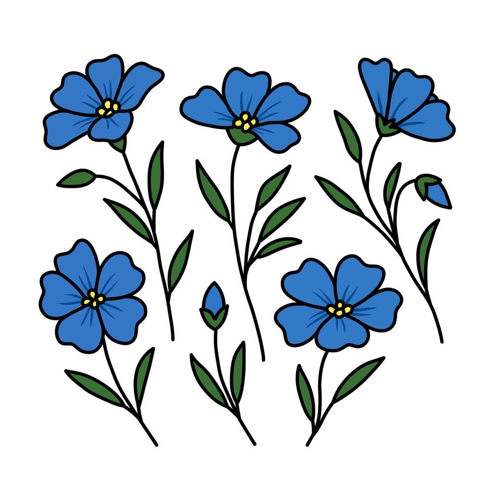Vibrant Blue Flax Flowers Botanical Illustration vector